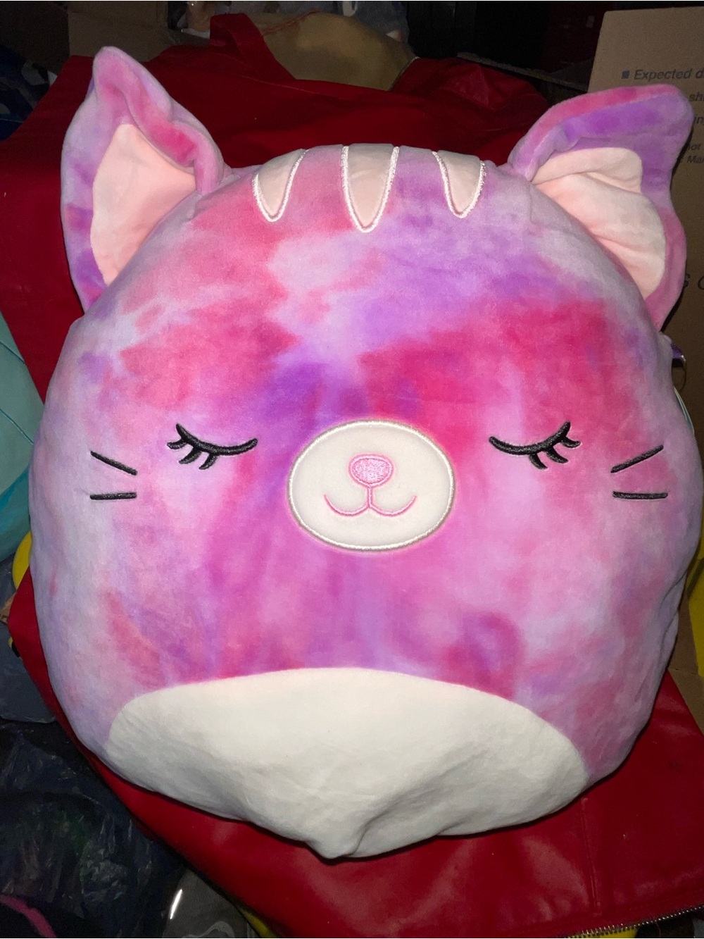 Squishmallows Caeli the Cat with Tags. 16”